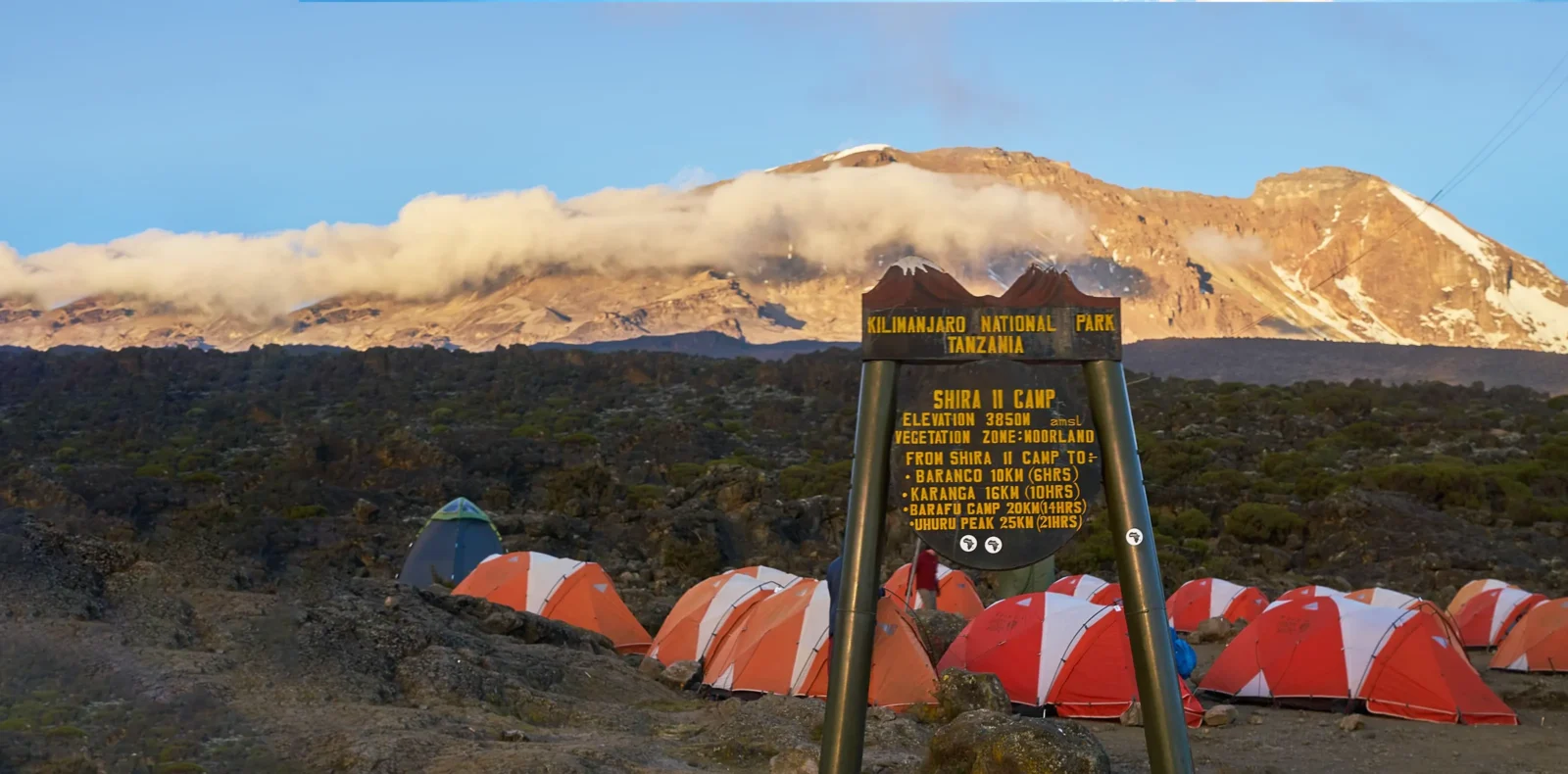8 Days Lemosho Route – Climb Mount Kilimanjaro