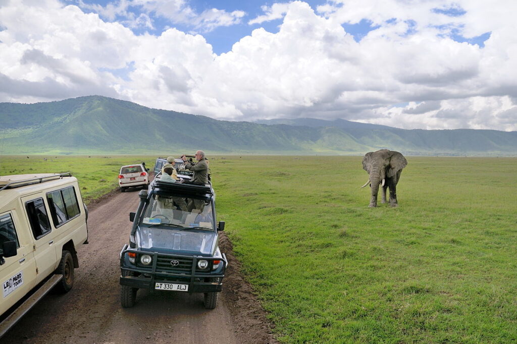 Tanzania’s Best Safari Destinations