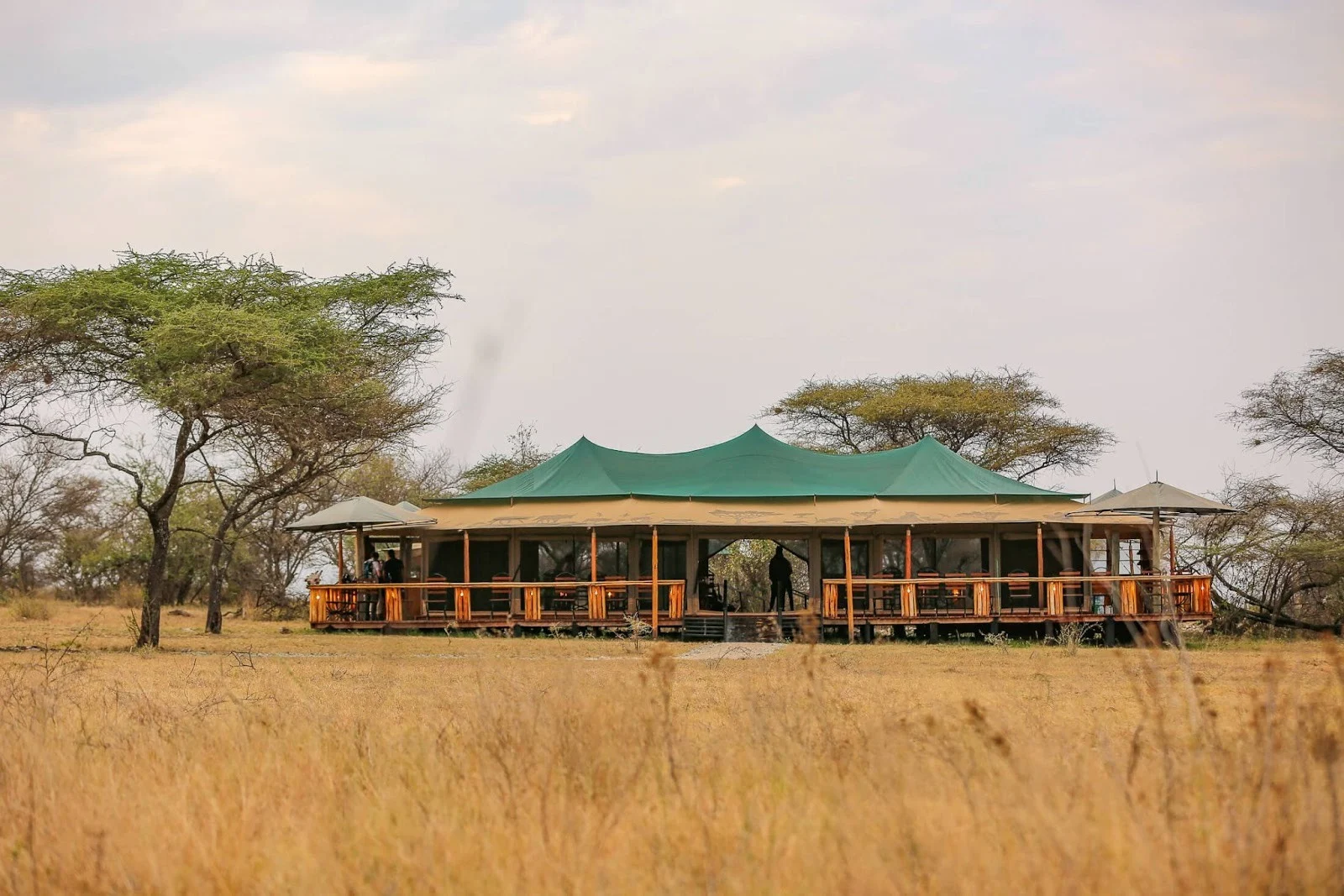 Trip of a Lifetime to Serengeti