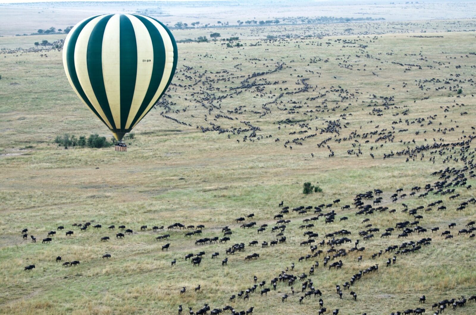 Trip of a Lifetime to Serengeti
