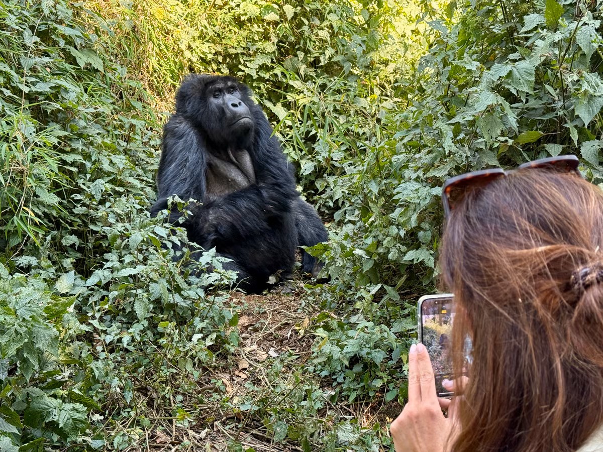 Uganda a Honeymoon Heaven