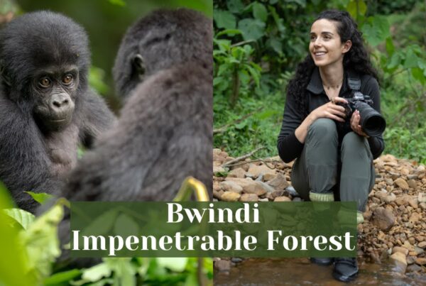 Unforgettable Memory