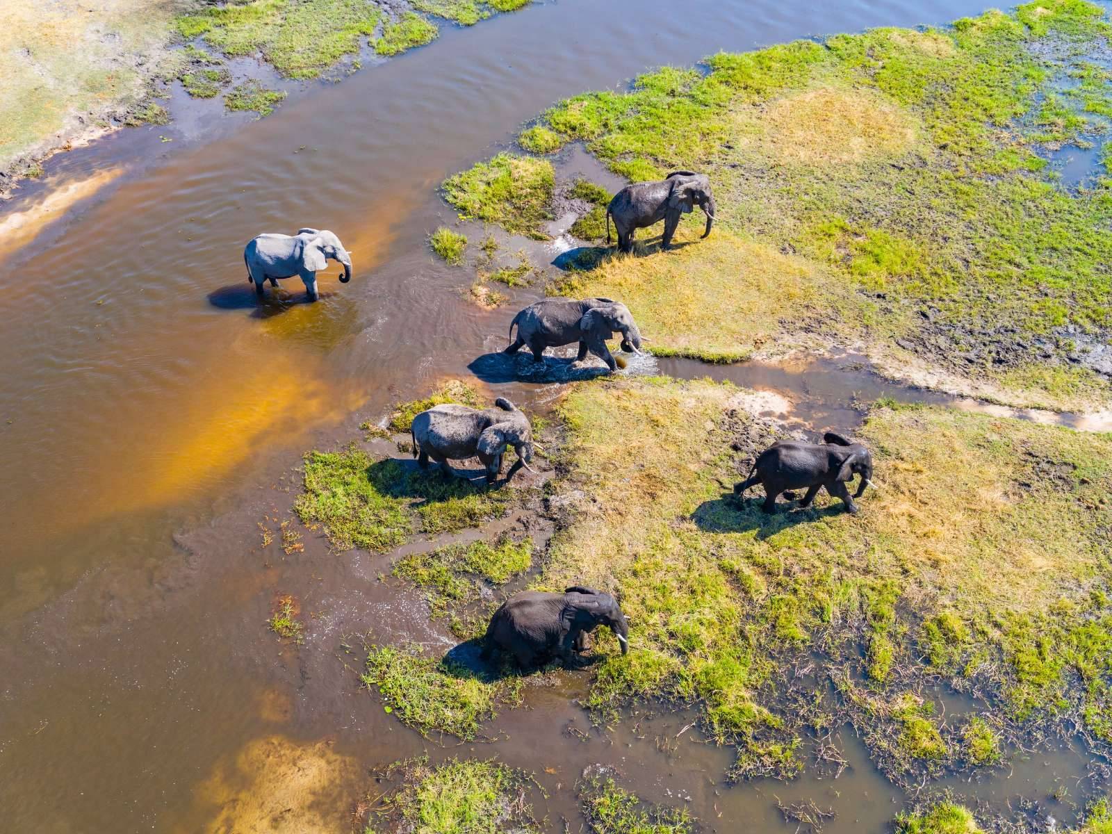 Unforgettable safari experience