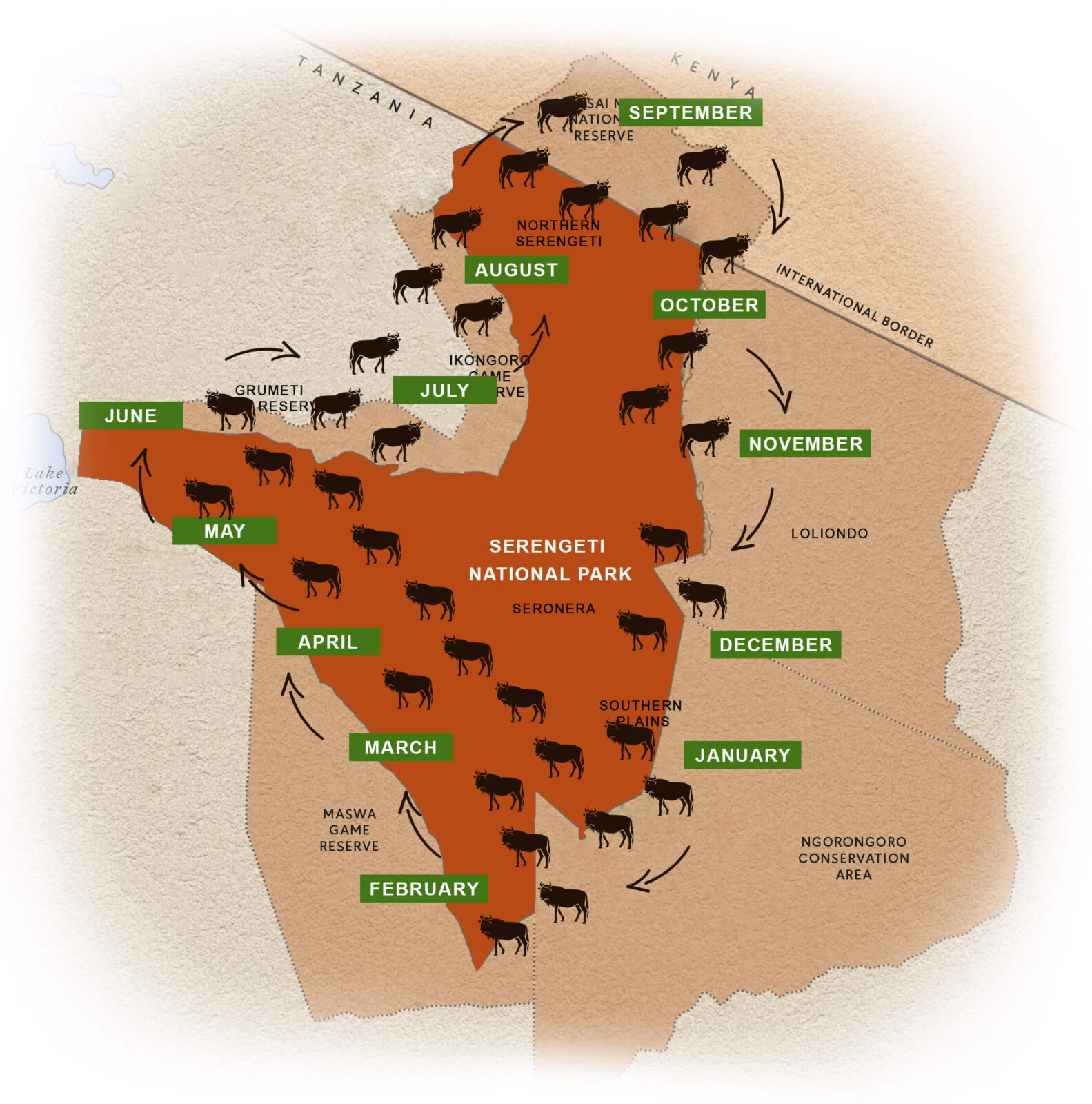 Wildebeest Migration Trips